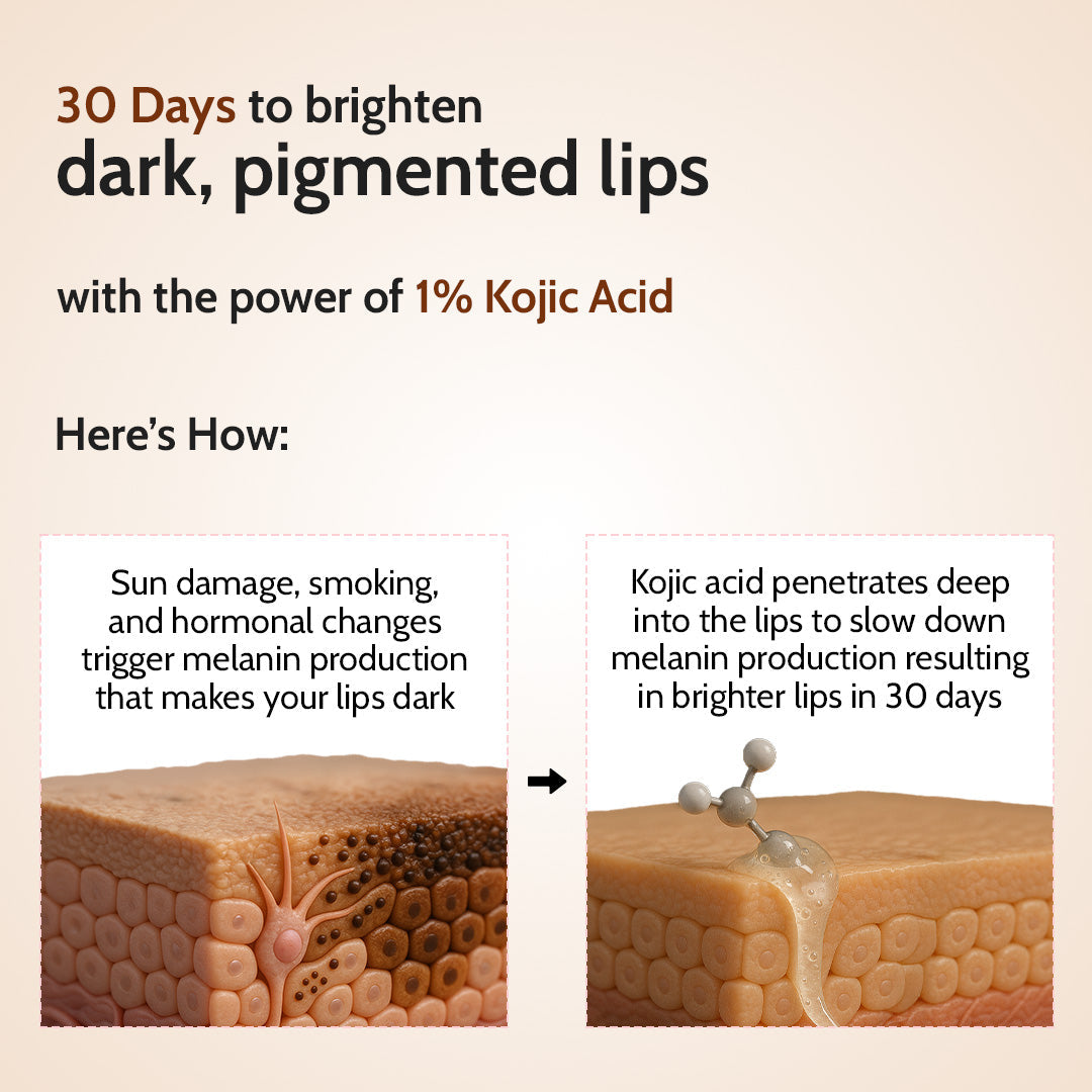 Natural Lip Balm for Chapped & Pigmented Lips | SPF 50 PA++++ & Kojic Acid | 4.5 gm | Pack of 2